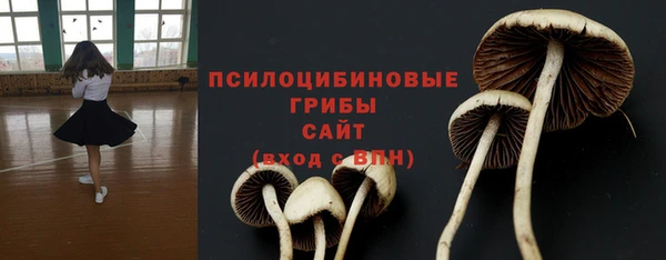 спайс Арсеньев