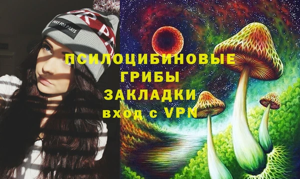 спайс Арсеньев